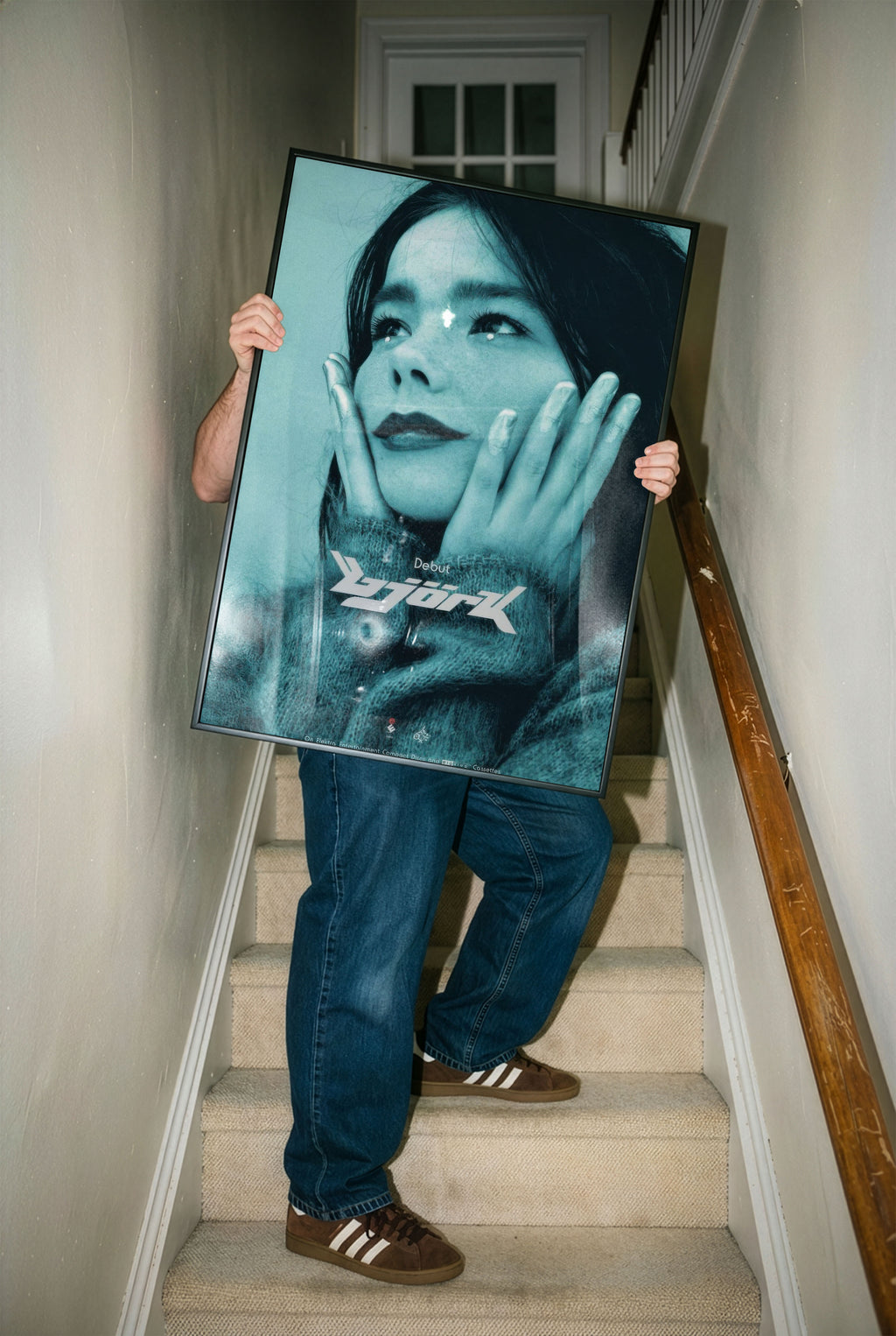 Bjork Music Poster 90s 2000s